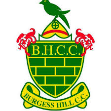Image result for Burgess Hill Hockey Club