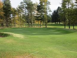 Image result for Forfar Golf Club
