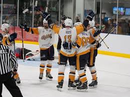 Image result for Romford Raiders