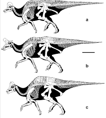 Bildergebnis für corythosaurus