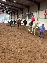 Image result for Shey Copse Riding Centre