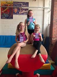 Image result for Appley Bridge Gymnastics Club