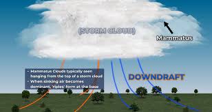 Attēlu rezultāti vaicājumam “Mammatus”