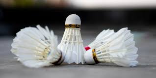 Image result for St Mary's Badminton Club - Peterborough