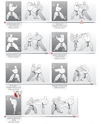 Image result for Jodan Karate