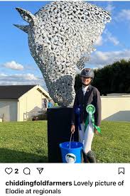 Image result for Chiddingfold Branch Of The Pony Club