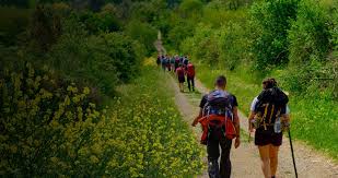 Image result for Pilgrims Sac