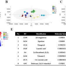 Attēlu rezultāti vaicājumam “Lasioptera rubi larva”
