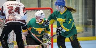 Image result for Leigh Hockey Club