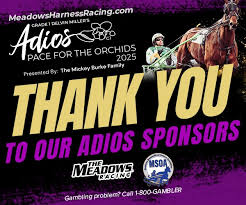 Image result for Meadows Sports Association