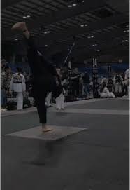 Image result for ATA Martial Arts Maple Ridge