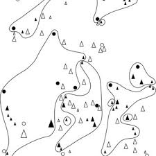 Attēlu rezultāti vaicājumam “Heterobasidion parviporum”