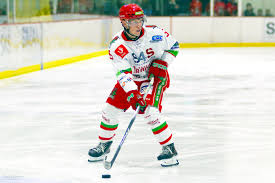 Image result for Sheffield Scimitars