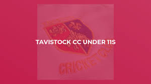 Image result for Whitchurch Wayfarers Cricket Club