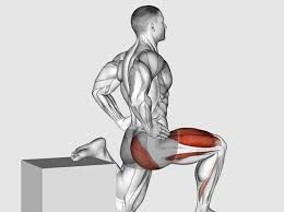 Image result for przyk adnica