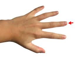 Znalezione obrazy dla zapytania palec