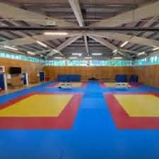 Image result for Croydon Judo Club