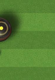 Image result for Ipplepen Bowling Club