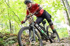 Image result for Abinger Forest Riding Club