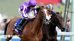 Image result for Epsom Oaks Netball Club