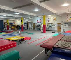 Image result for Newton Abbot Somersaults Gc