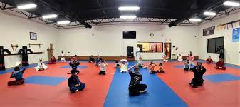 Image result for Bushin Kenpo Kai Schools