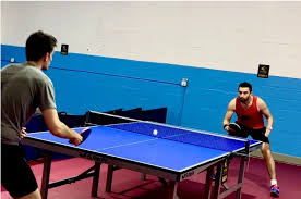 Image result for Dml Woolwell Table Tennis Club