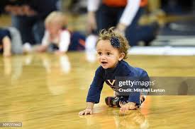 Attēlu rezultāti vaicājumam “Diaperis boleti imago”