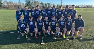 Image result for Ballerin Gaelic Athletic Club