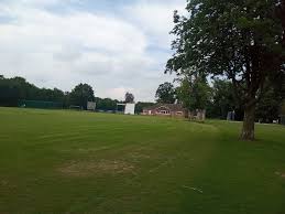 Image result for Ifield Cricket Club