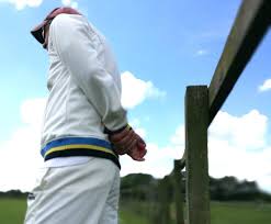 Image result for Fenton Cricket Club