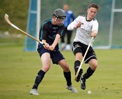 Image result for Lovat Shinty Club