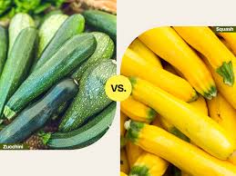 Image result for Zucchini