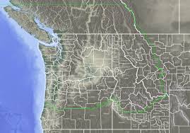 Attēlu rezultāti vaicājumam “Harpanthus scutatus”