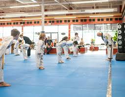 Image result for Martial Art Centre of Excellence