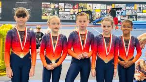 Image result for Horizon Team Gym Club