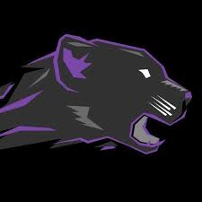 Image result for Medway Panthers Netball Club