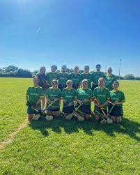 Image result for Green Isle Camogie Club - Players Wanted!
