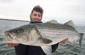 Image result for Newhaven Deep Sea Anglers