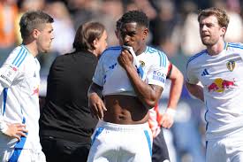 Image result for Leeds juniors afc