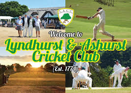 Image result for Lyndhurst Cricket Club