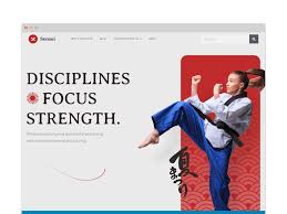 Image result for Sokudo Martial Arts Club