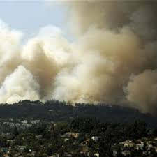 Image result for 光化学SMOG