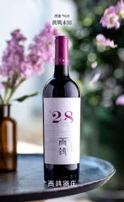 Image result for 水野X68仁義