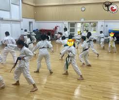 Image result for Tsunami Karate Club