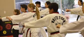 Image result for White Tiger Martial Arts