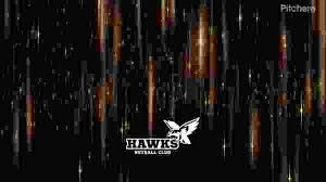 Image result for Clan Netball Club