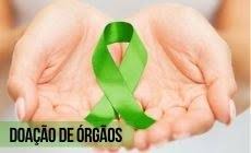 Image result for doação de órgãos
