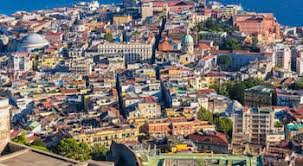 Attēlu rezultāti vaicājumam “Nola sp.”