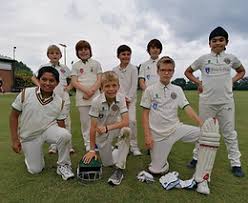 Image result for Bitteswell Cricket Club